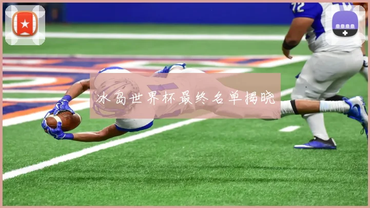 冰岛世界杯最终名单揭晓
