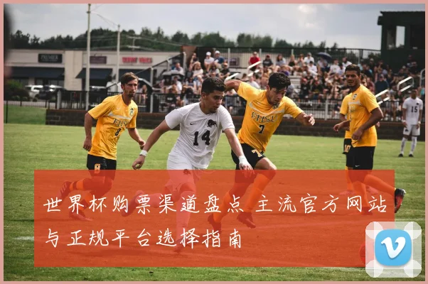 世界杯购票渠道盘点 主流官方网站与正规平台选择指南