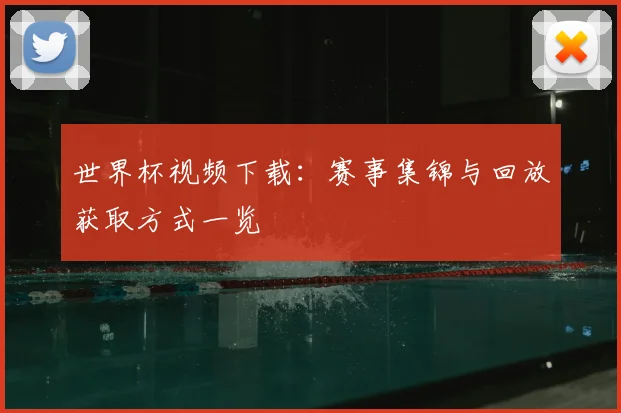 世界杯视频下载:赛事集锦与回放获取方式一览