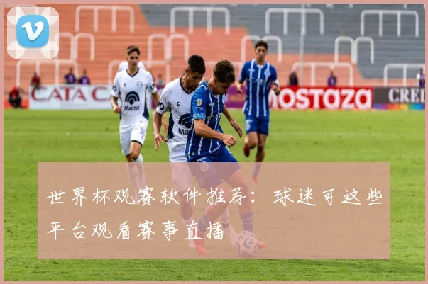 世界杯观赛软件推荐：球迷可这些平台观看赛事直播
