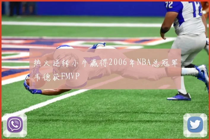 热火逆转小牛赢得2006年NBA总冠军韦德获FMVP