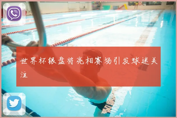 世界杯银盘将亮相赛场引发球迷关注