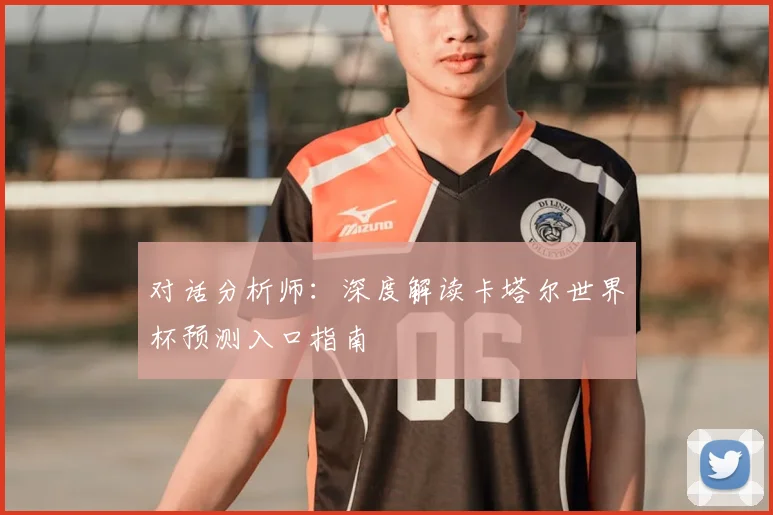 对话分析师：深度解读卡塔尔世界杯预测入口指南