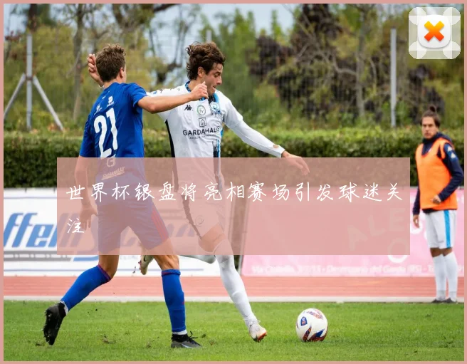世界杯银盘将亮相赛场引发球迷关注
