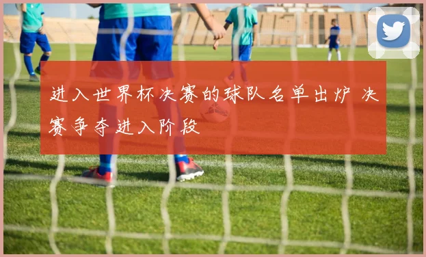 进入世界杯决赛的球队名单出炉 决赛争夺进入阶段