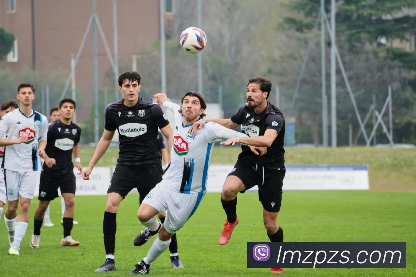 up体育官网品牌故事